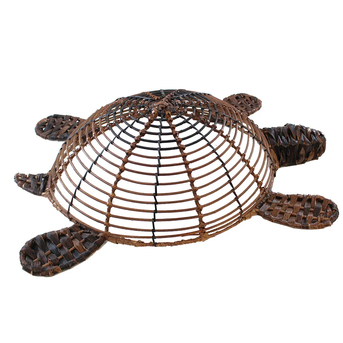 Brown Bacbac Turtle