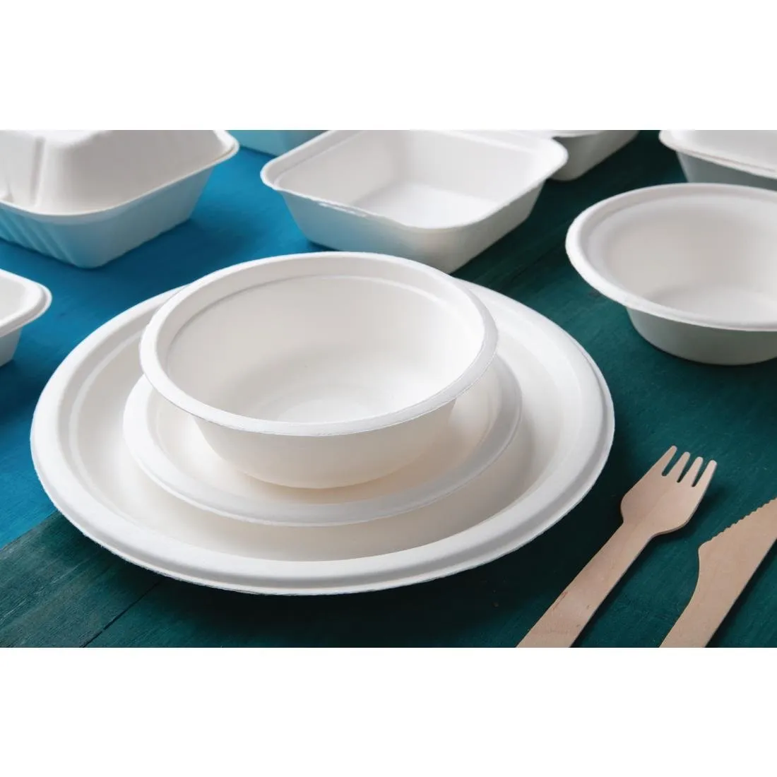 CW904 Fiesta Green Compostable Bagasse Plates Round (Pack of 50)