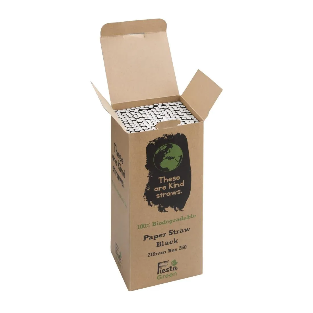 DE926 Fiesta Green Compostable Paper Straws Black (Pack of 250)