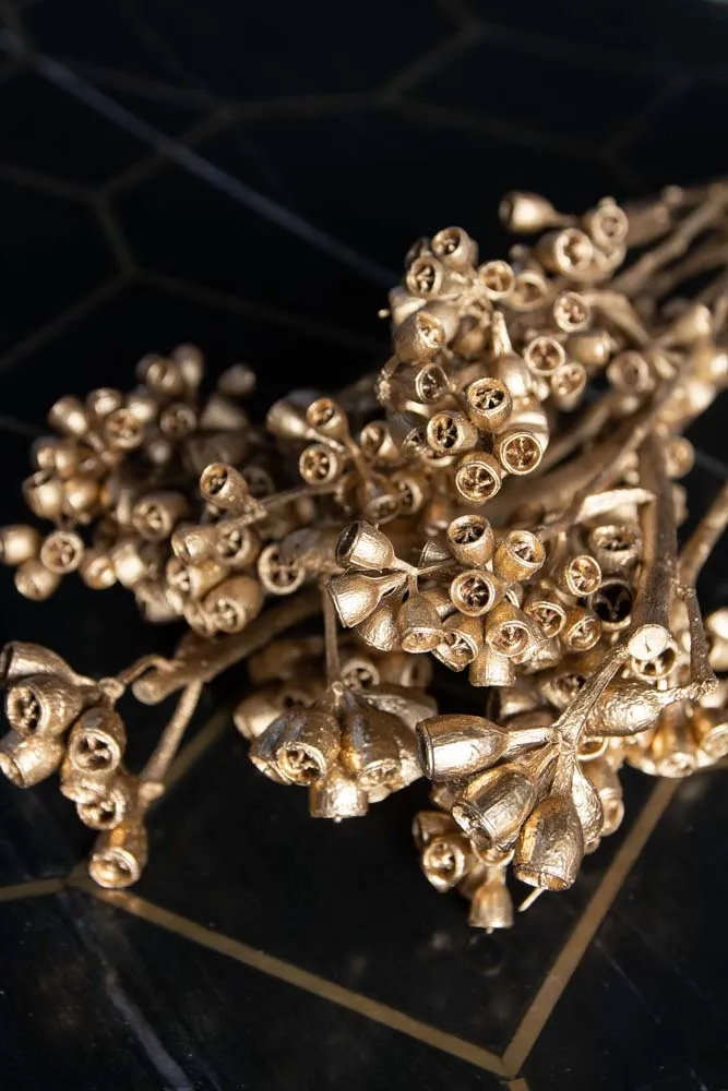 Gorgeous Gold Dried Mini Seed Pods