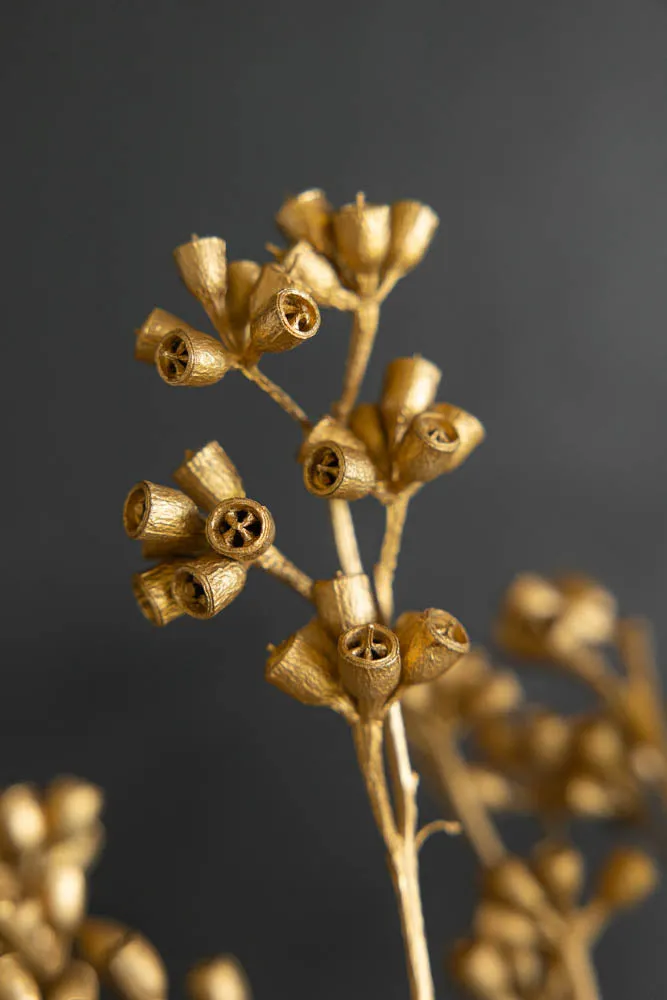 Gorgeous Gold Dried Mini Seed Pods