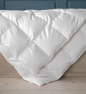 Gorgeous Goose Duvet - European Goose Down - Single