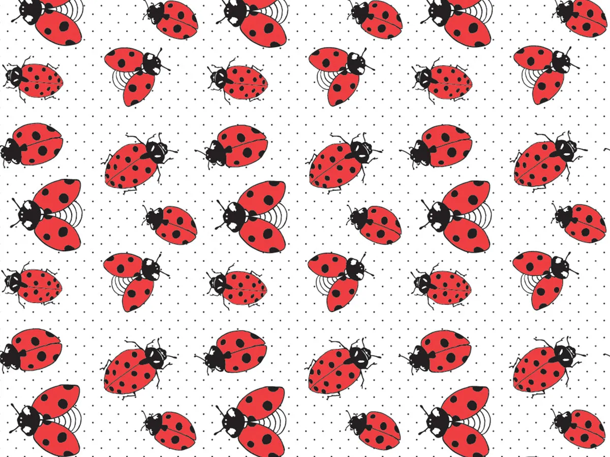 Ladybug Pattern Gift Wrap, Single Sheet