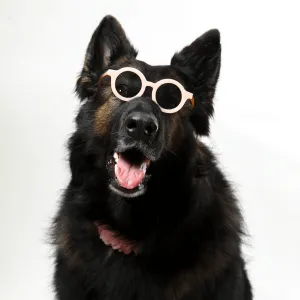 PET OPTIC SHADES -  PET SUNGLASSES