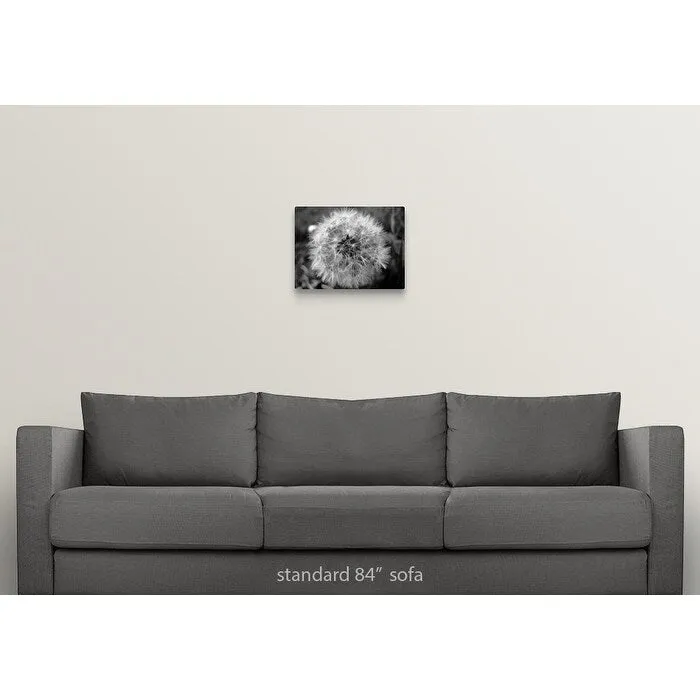 "Close up of little shining star dandelion on sidewalk." Canvas Wall Art