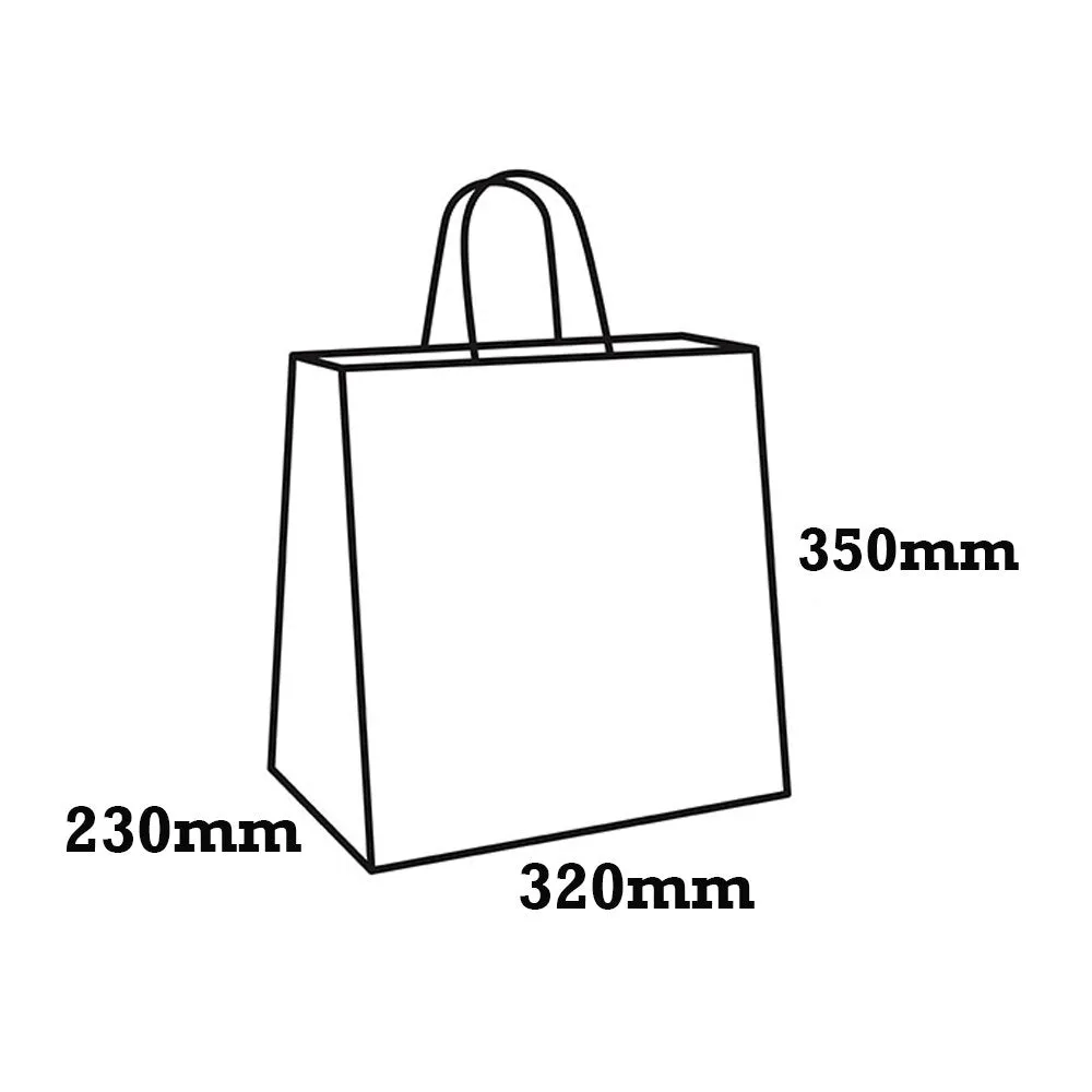 Retail Takeaway Kraft Twisted Handle Paper Bag - Jumbo